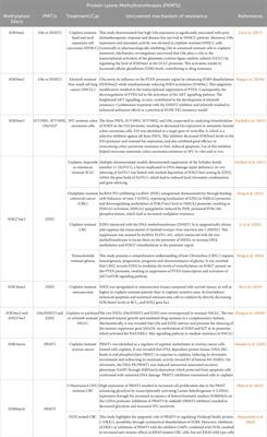 Therapeutic targeting potential of the protein lysine and arginine methyltransferases to reverse cancer chemoresistance